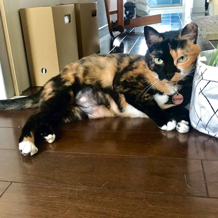 90d1cb8c 5397 4f5a a452 1320eb4ecde1 1596499358452