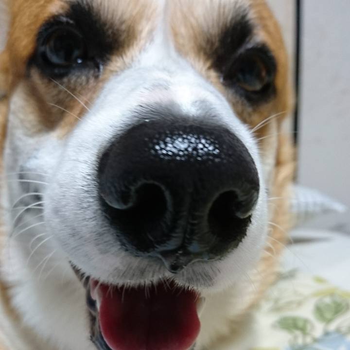 90d20ae4 3f07 4580 a1c9 3b754b0f3152 1601622174170