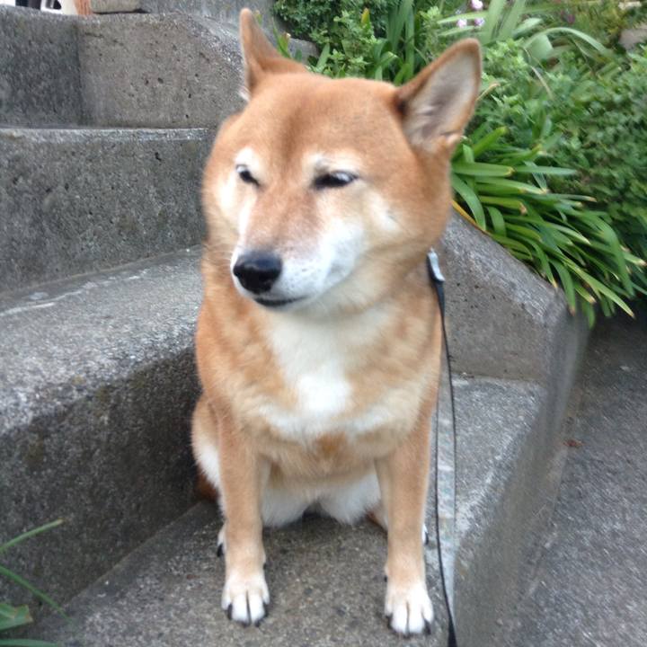 90d20b5b f897 4365 aefc 992690749af7 1537088747351