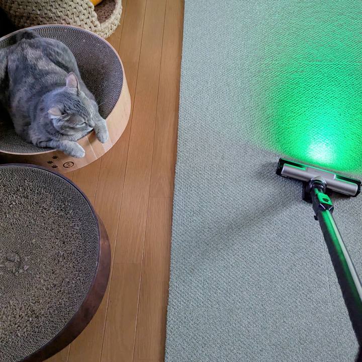 90d21f91 a5c4 461c aa44 49ccdca4eb84 1743247087860