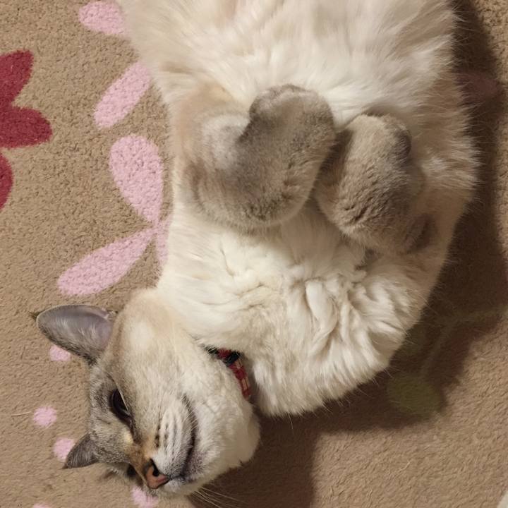 90d2523e 0b60 41b8 ba2a ded3b05f1bb1 1577452017679