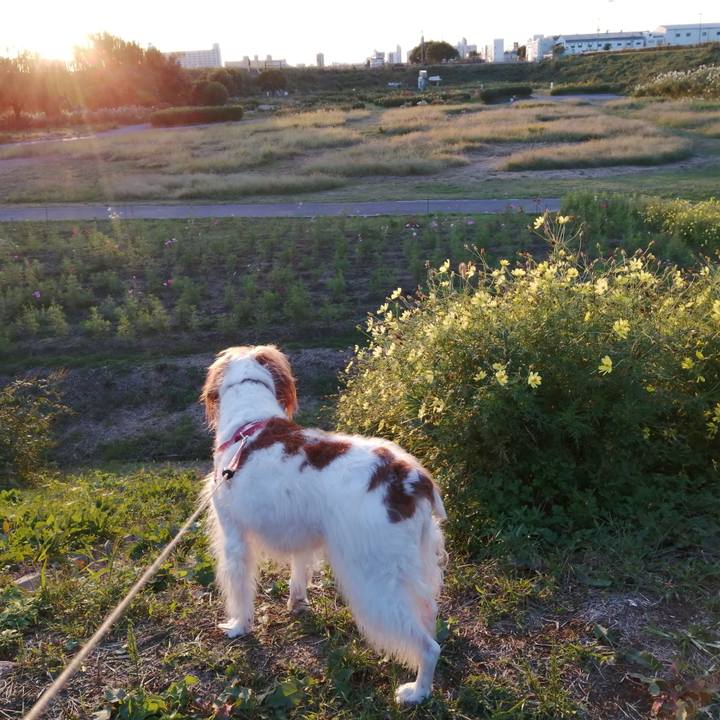 90d257d0 b4bb 47b6 858e 3adff1cae060 1603193630801