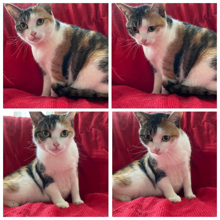 90d27e18 433a 4230 9b01 43c074d38719 1619040660813