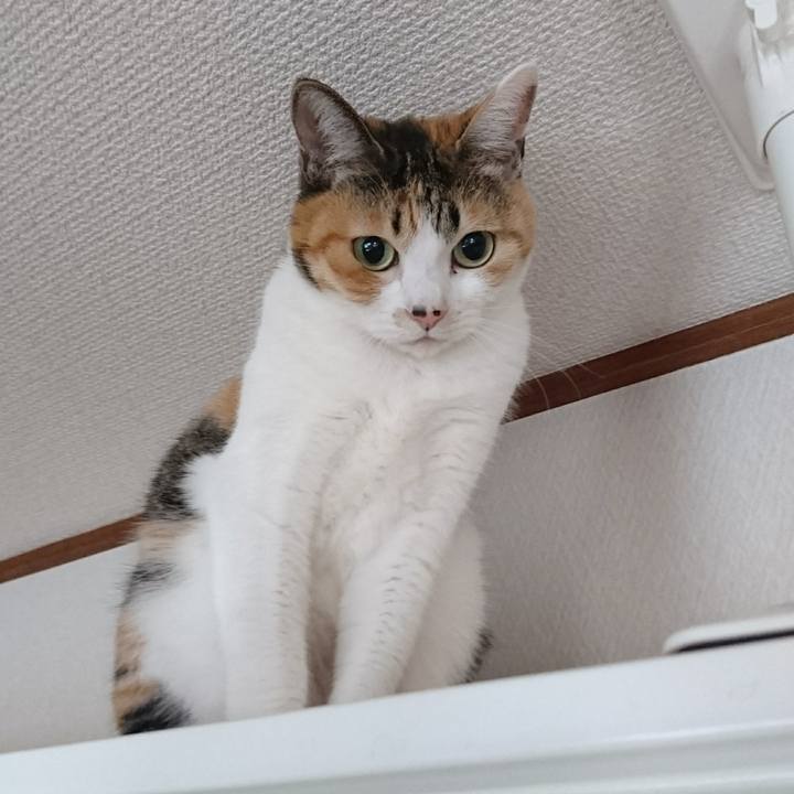 90d27f17 cacd 4510 a702 858b4dff7c52 1525040128518