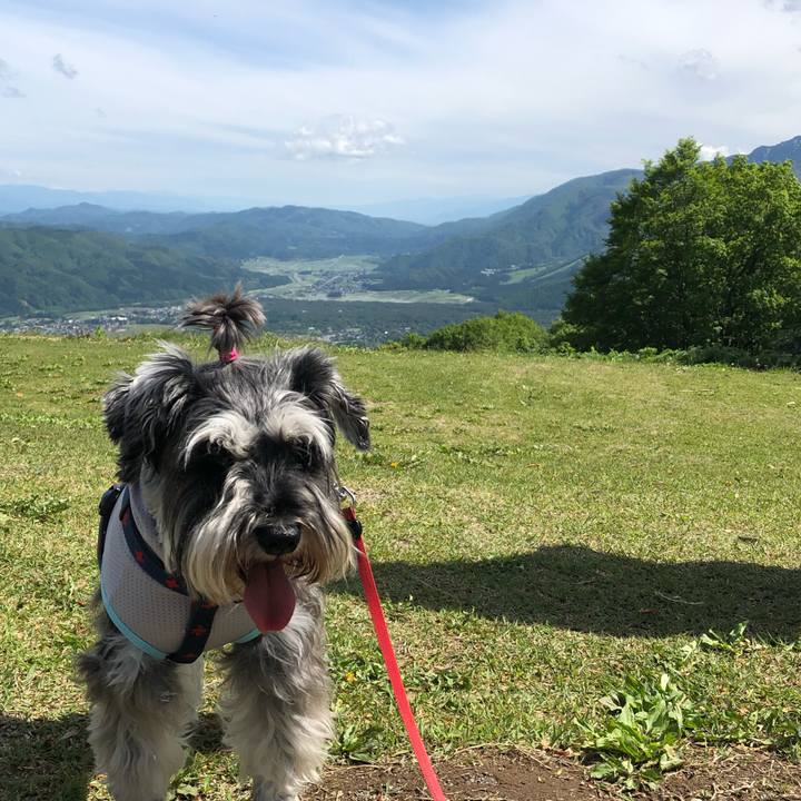 90d2b7ef cabc 4751 918f d356781ce42f 1622950315018