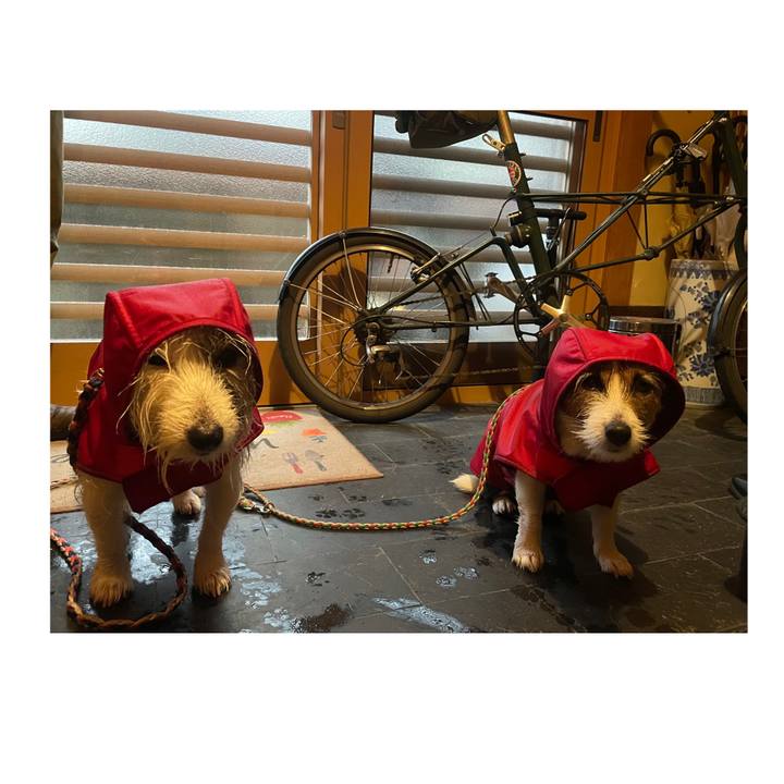 90d2e862 36de 4914 b972 e1bb79c61f66 1768435109383