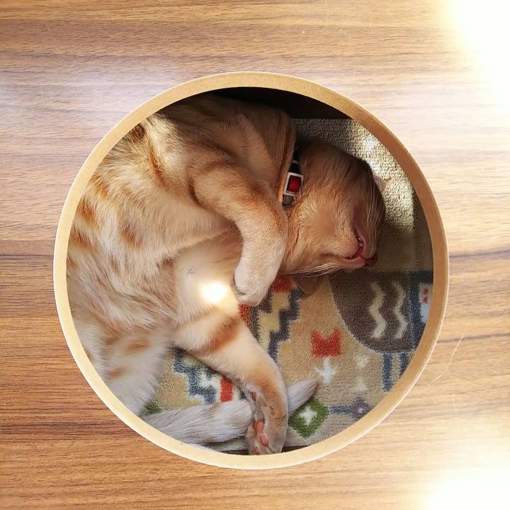 90d2ec7d 36b8 4f40 bfd5 f443864f54dd 1558854475984