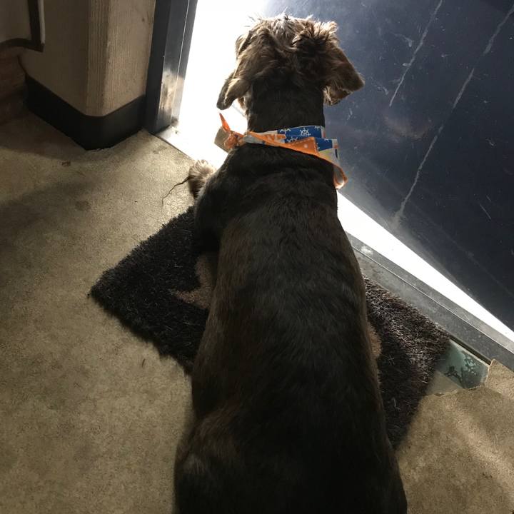 90d30ba1 8288 44e1 9226 017504bdc8f3 1534306881066