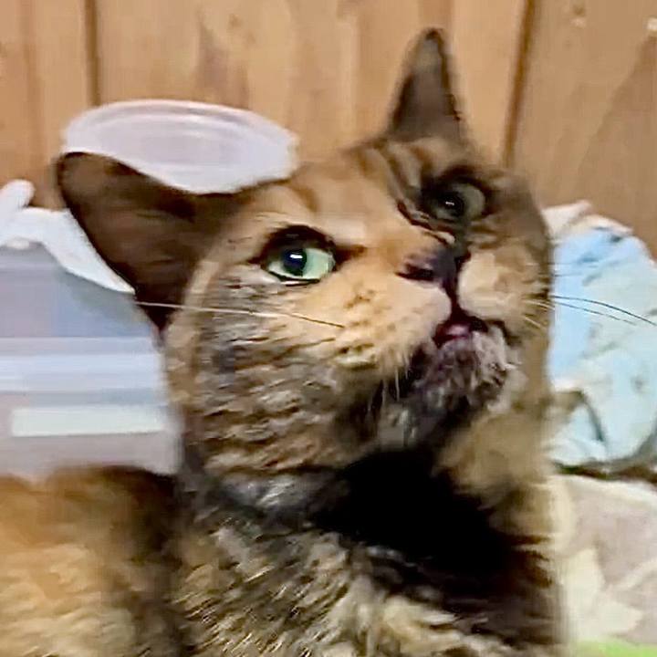 90d37569 b88e 4ba0 8b74 3f0504451644 1748261462970