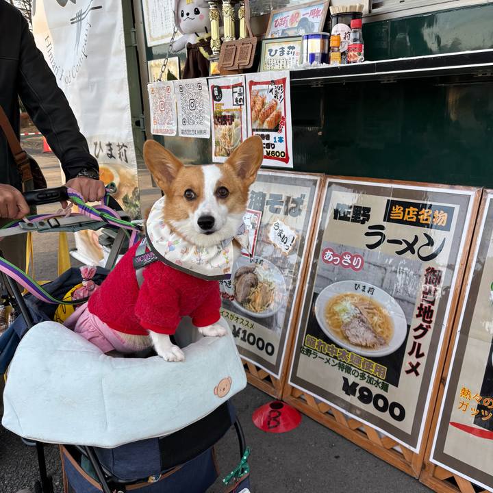 90d3902d fdb5 4bb7 bc71 a79361adb2ac 1765610872012