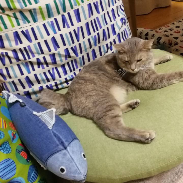 90d3c068 04de 4587 8948 50c70e194ec9 1536970296969