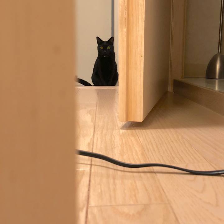 90d3c9bb cdb0 4ce2 be5a a2515202d7b4 1521384192272