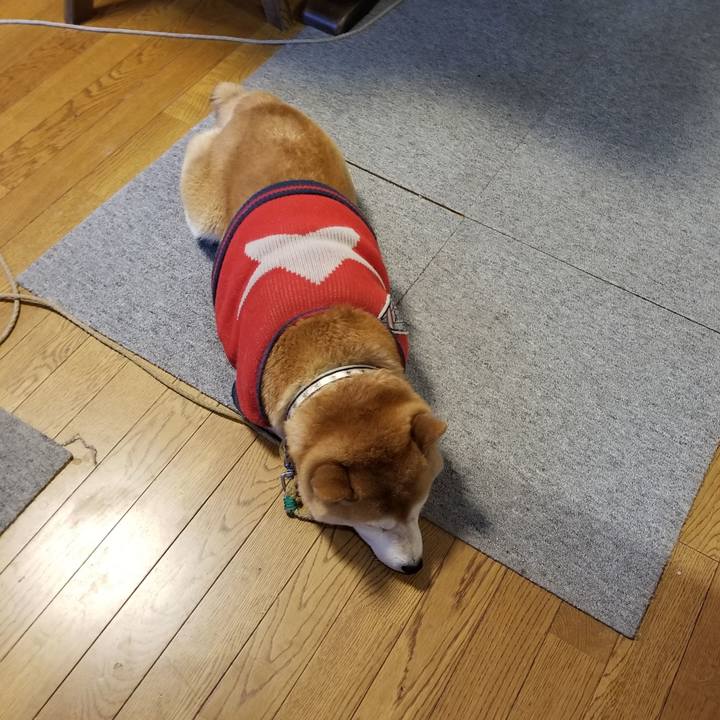 90d4094a 37bd 4d1b a87e f03b9e346712 1609283875039