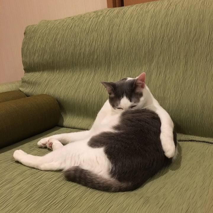 90d42690 eab4 4996 aea0 5cd7487c5fad 1530090122630