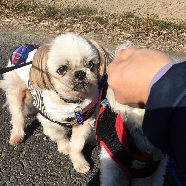 90d42e38 b8b1 43ef b7ad b31ee6ac148b 1641181946990