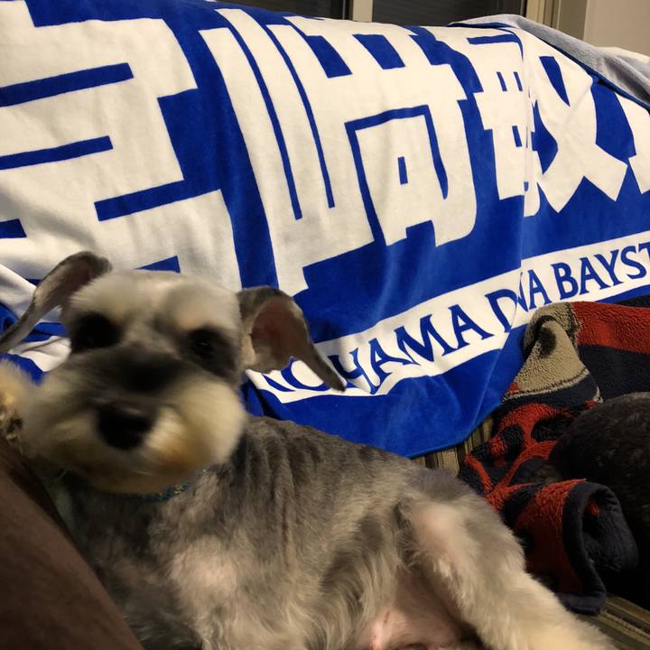 90d44b7c 6421 40f6 81c8 6983d36e0796 1537171223539