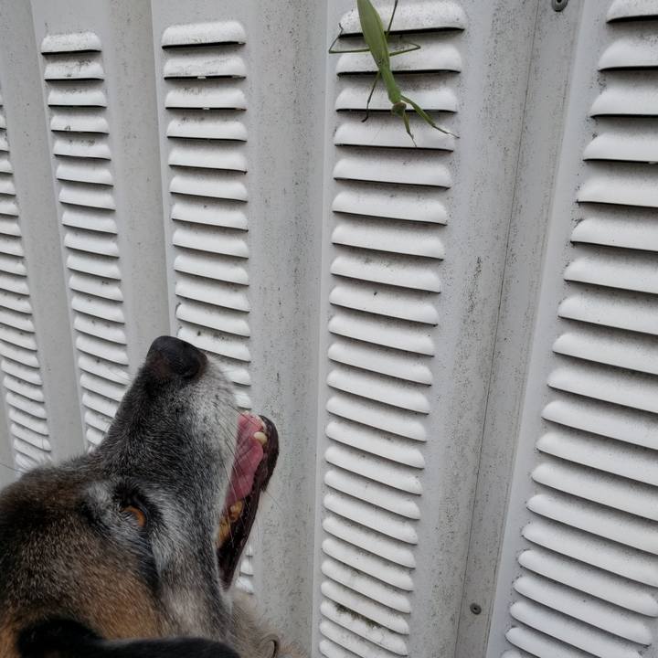 90d47aec d748 44d9 8a35 07edbc28d61a 1735343630384