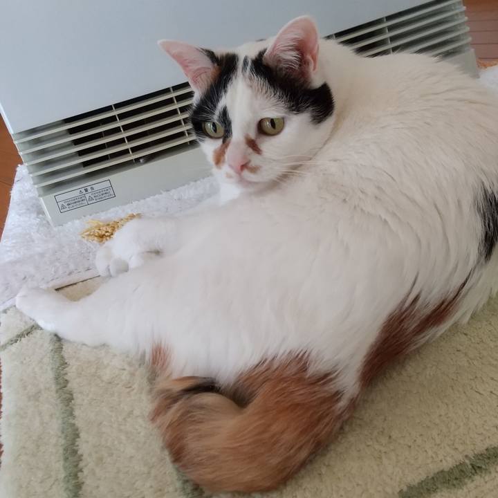 90d4c559 5a12 4909 9991 db5b78184c70 1680217252821