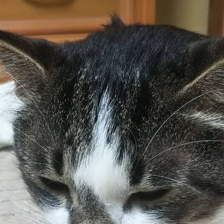 90d4e68f 4d48 43ae a86c 0631e95dfcf1 1627655995490