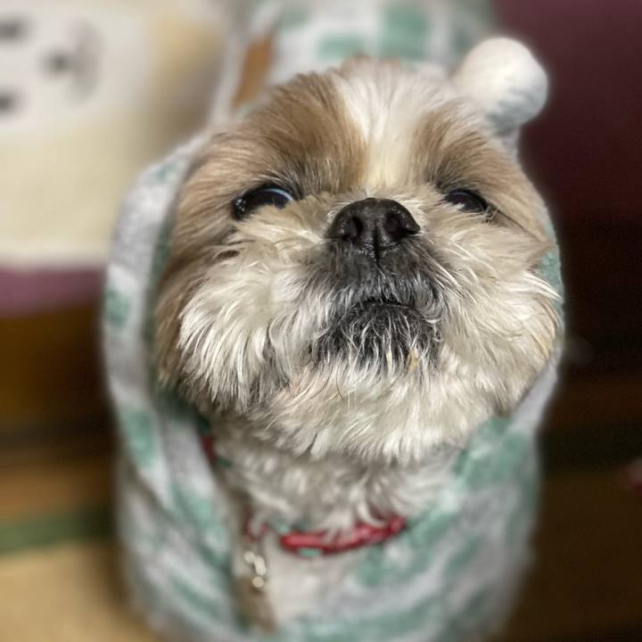 90d4ed9a a363 47c0 837a 65fa2b713179 1641636918518