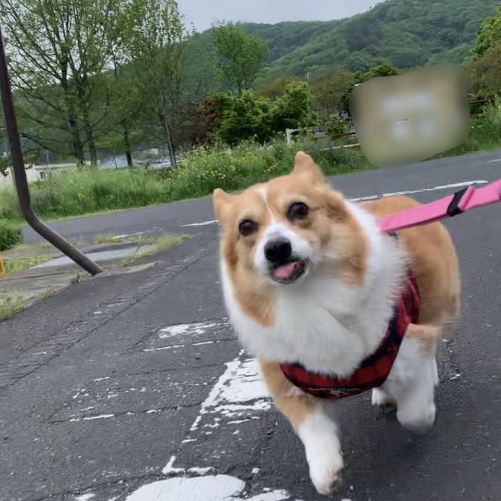 90d505e5 d7e8 4a99 8139 f8cc6b0ff26b 1650767150763