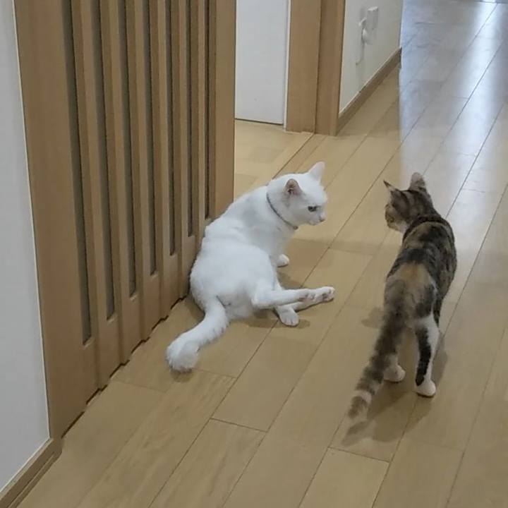 90d51681 5a26 4625 b358 6ae36570b4fc 1629848488663