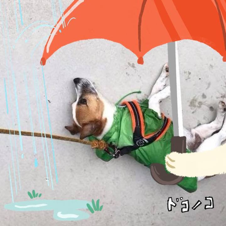 90d51f2a 4b18 41a1 a55d d416bf7e98f7 1749207956442