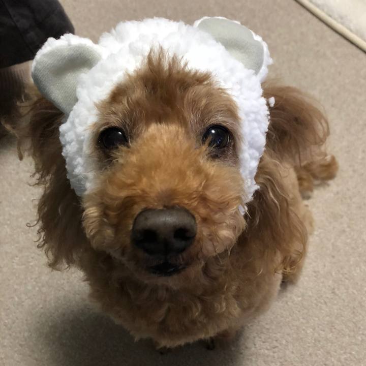 90d5260f a4be 4dbc 8d75 49b2aa634f40 1519105836897