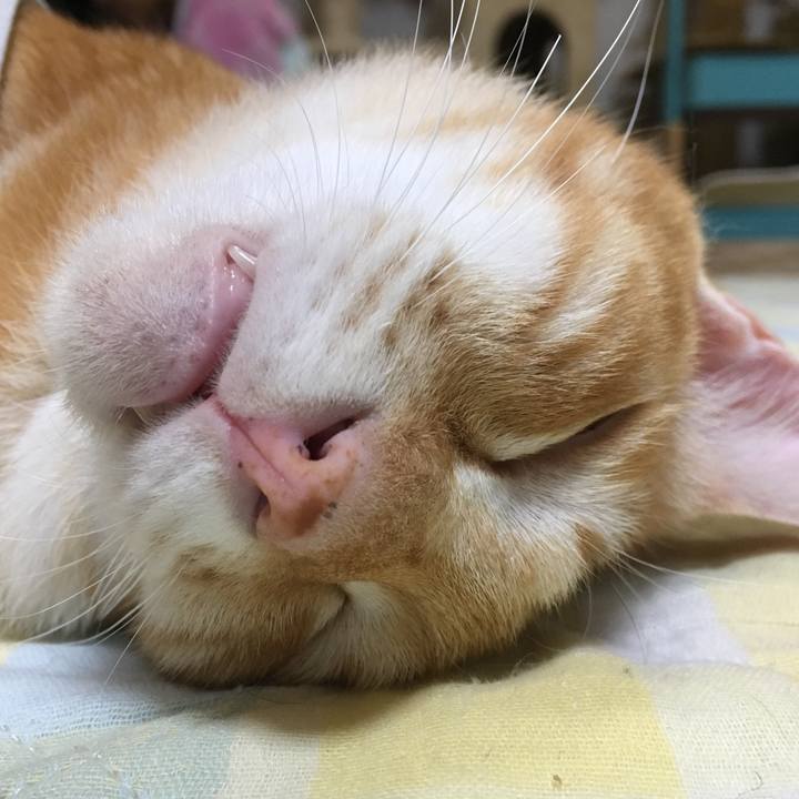 90d53d7d ebe6 41fb bc10 016a2f790cb0 1537788949157