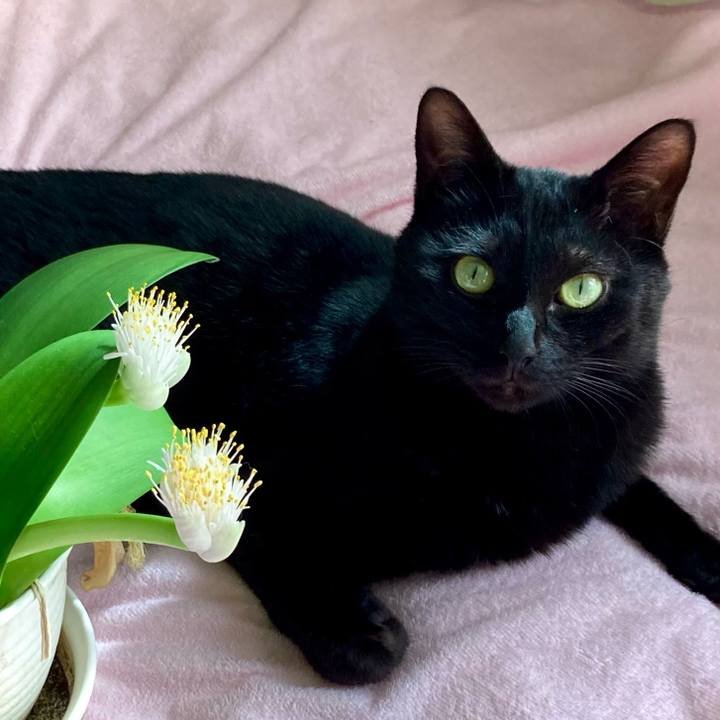 90d5b6a7 f59b 43f0 ae59 b8c8a88df963 1697861233714