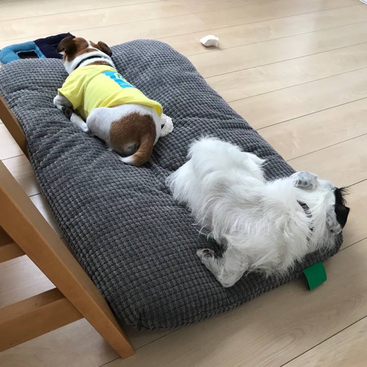 90d5e70c 6bbc 462a 8719 82911fe87f86 1528271331142