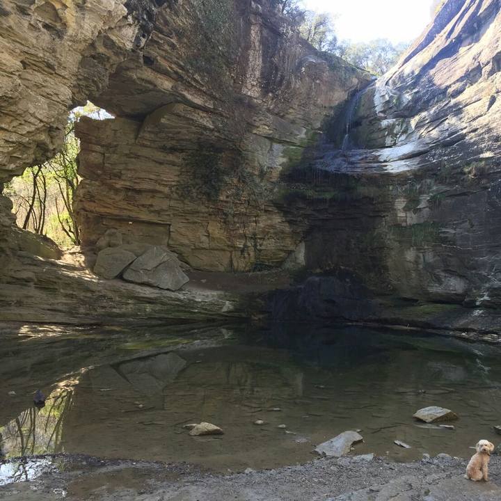 90d667e9 5dce 4b6d 92f2 d43ab5bb1a27 1552553619926