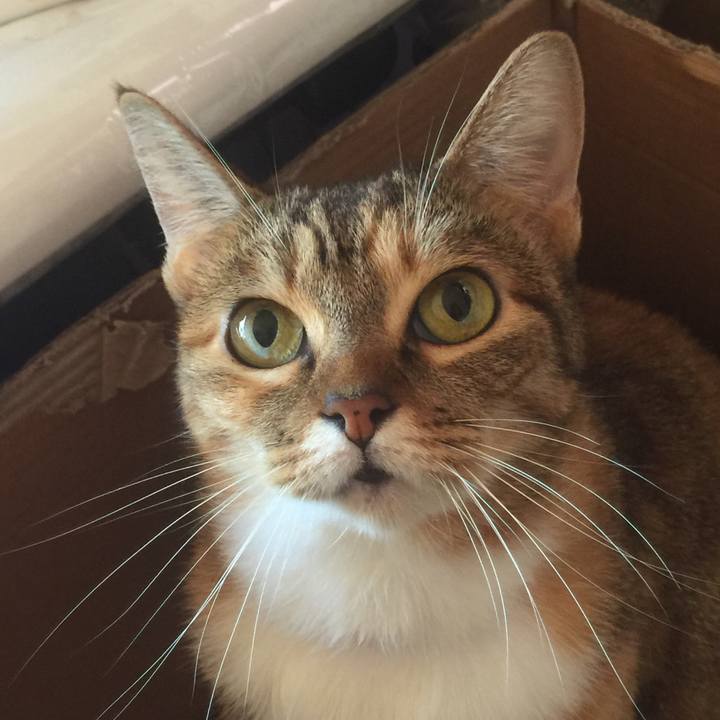 90d66afe e183 4bd0 b4f4 5bb268de4ba7 1572664732299