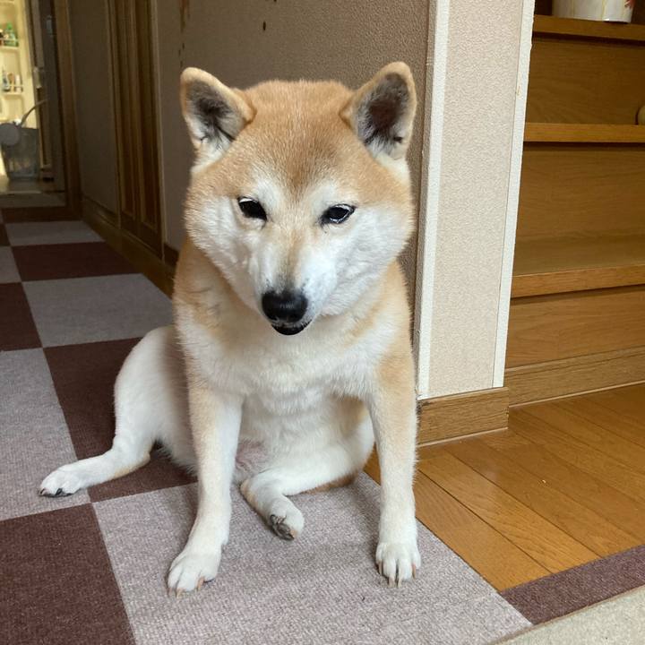 90d6abc5 ecdd 4570 9f8f 7427fc4082d3 1617595031581