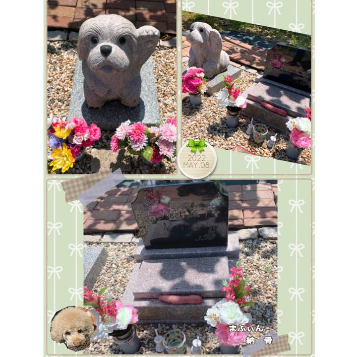 90d6d7bd 5ebb 481d 8096 7e084c4e5c39 1651978671415