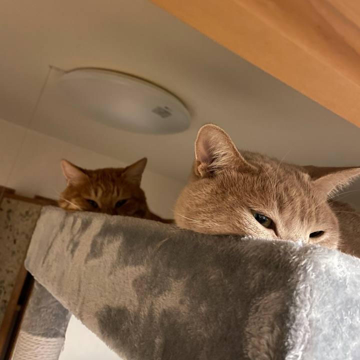 90d6ed8d 0b82 4d37 bb29 53ff1ed14117 1631796790254