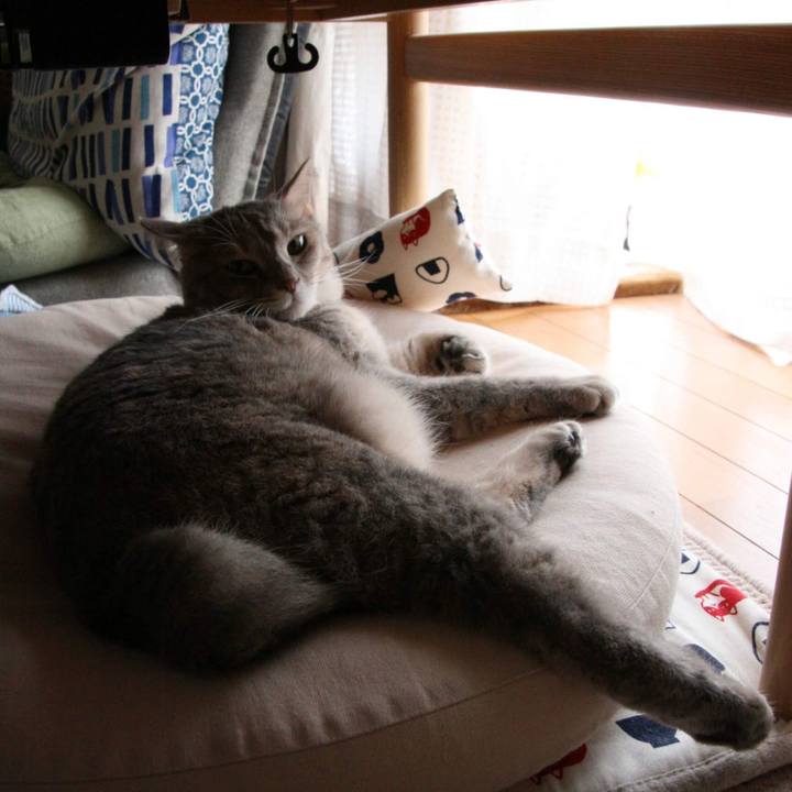 90d6fdcf 0878 46a4 8f84 39235e378057 1537658781140