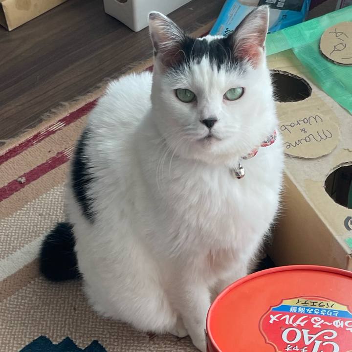 90d6fe4d a1f6 4c4b a05e 73a0c6d76c7c 1734240477580