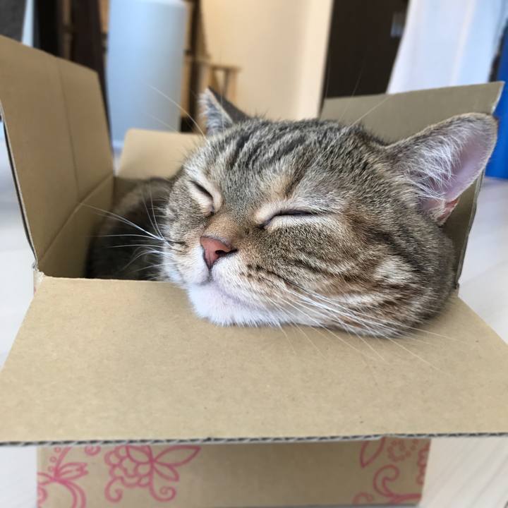 90d71a33 9786 42e8 9c26 0f56a15fcf88 1539244441275