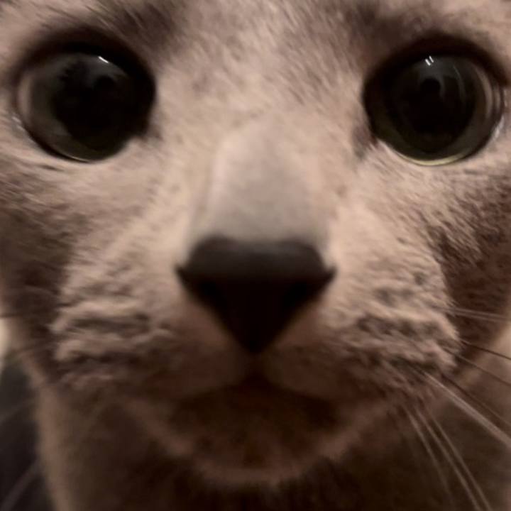 90d743ca 30d7 42eb 92ec 1e8c245c62b2 1745404361356