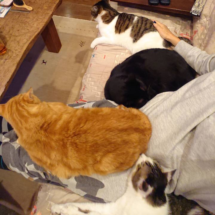 90d765f8 e5bd 43ba a4c3 ef2bcc9758f5 1606822774613