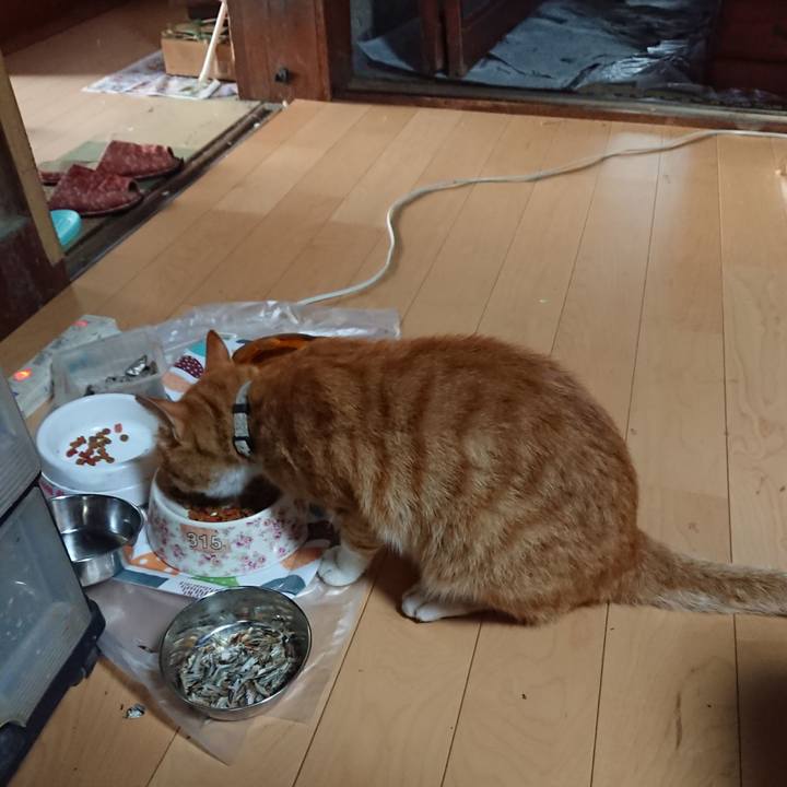 90d766bb 3d58 4a19 83b2 ae8fae34c714 1597092708188