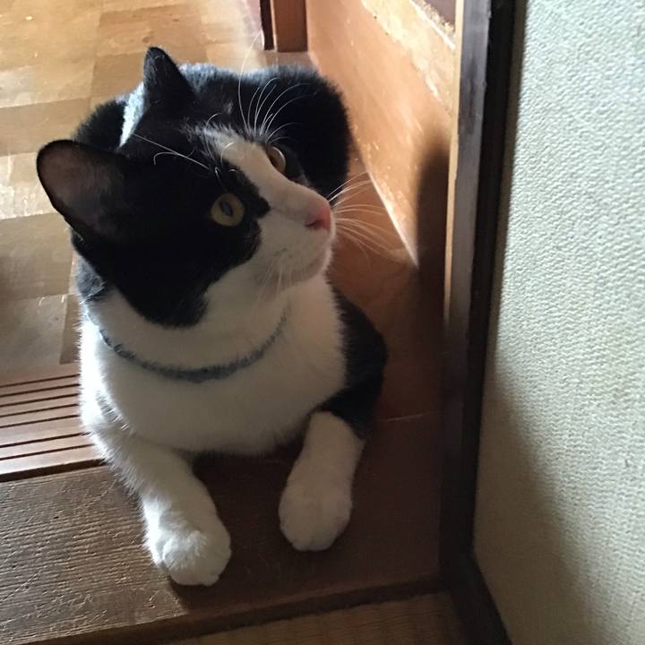 90d771f6 367a 4113 9489 2d4059884a05 1660647397633