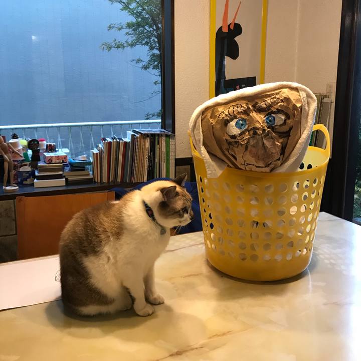 90d7830f e7e5 4595 8c6b 1dd0e121f723 1509260433524