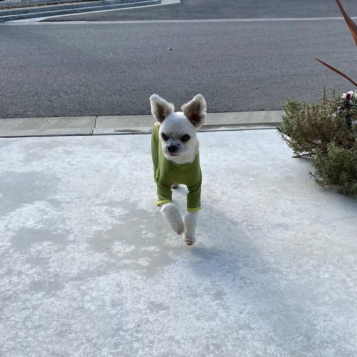 90d7ba57 cffe 4cc5 b87e 80d4a7f2fc76 1641292124385