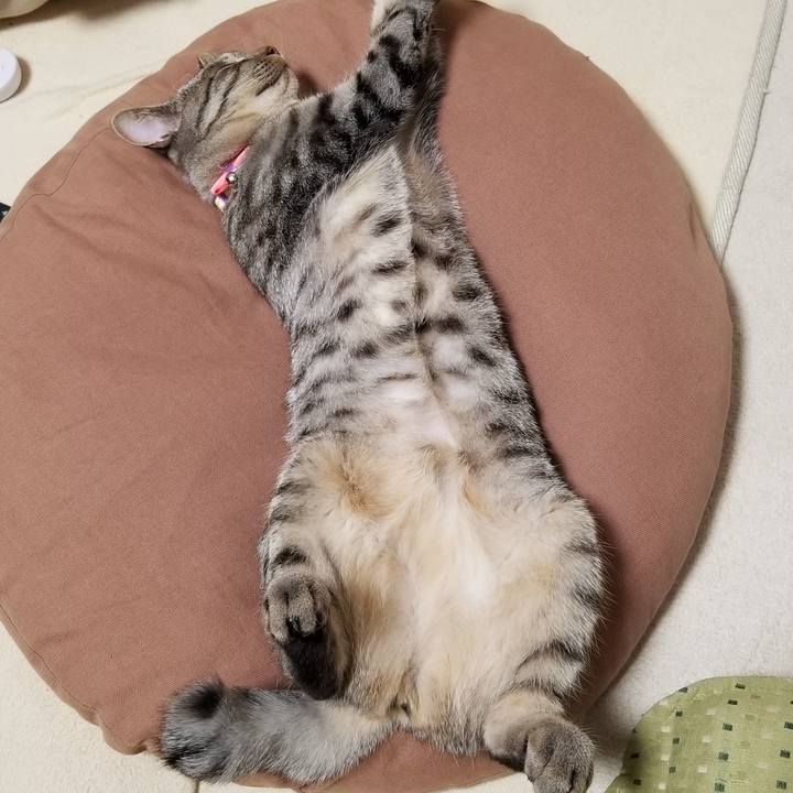 90d7c1f9 d471 4c01 aa64 6289c84ec63c 1683469482295