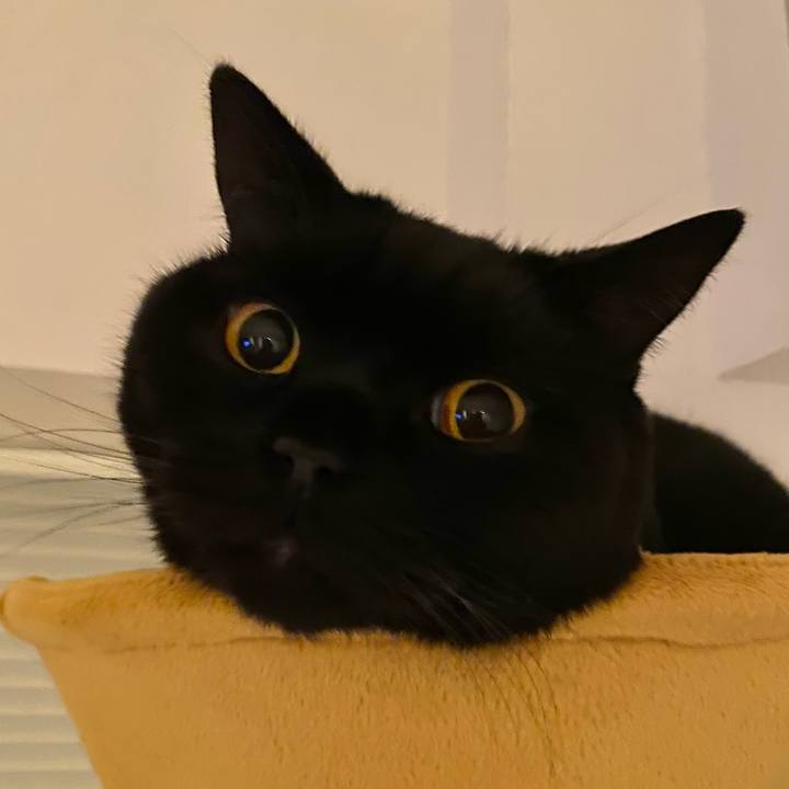 90d7e4e3 1932 4108 bb8c 0f8584467f19 1607420731848