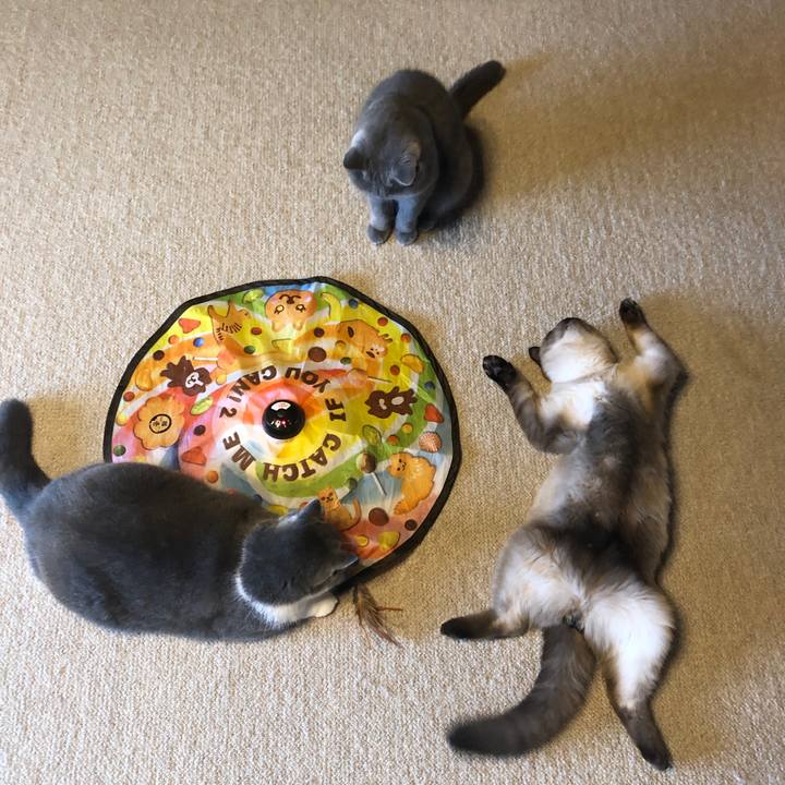 90d80664 d3d2 46e9 acc3 955fb97c0091 1603494540532