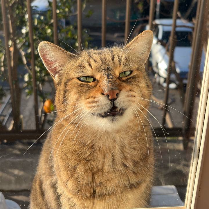 90d81827 2804 4fa9 83ad 132220df785e 1768521667963