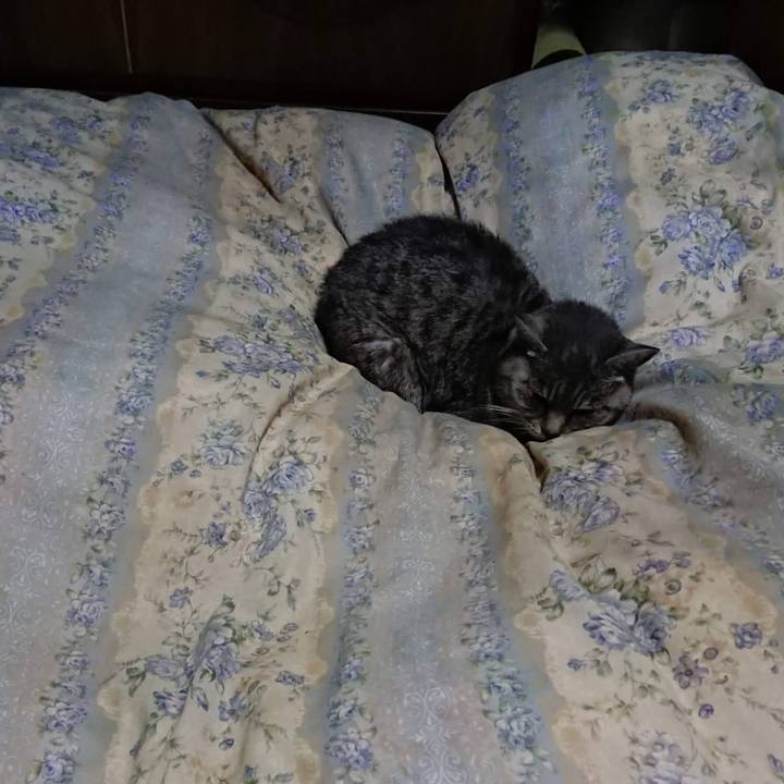 90d81ec7 6247 4d1b 96b1 371e034b5db6 1605007271795